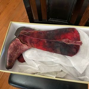 Pointed toe/cowboy boots